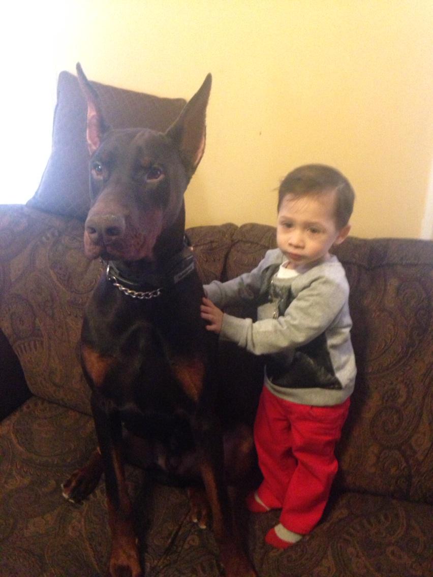 TuckahoePolice's tweet photo. #BigDogSunday#bestbuddies#bo&amp;dean http://t.co/y0FLqP7WWO