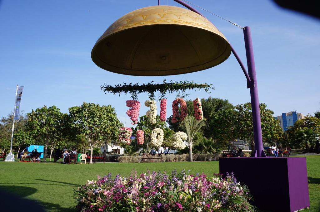 Doha Bus tweet media