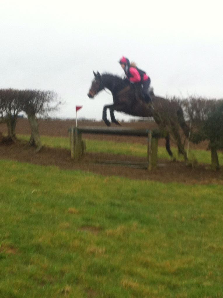 torihidesports's tweet photo. Lovely day out, William completely clear over everything, he was a machine and it was nice to get swift out too! http://t.co/YPqqCABWX0