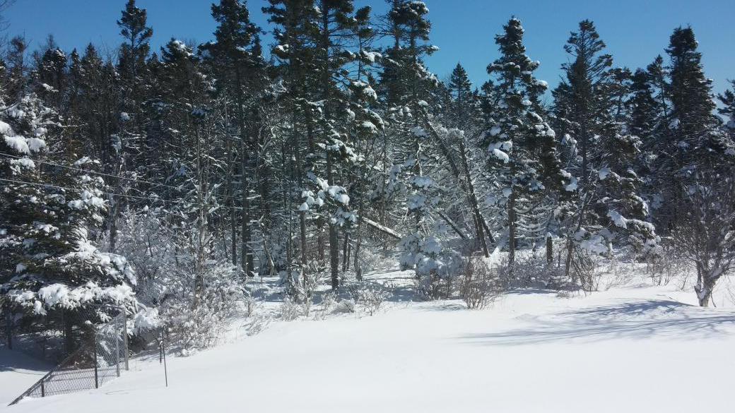 EPBryn's tweet image. Beautiful sunny day.  Nice scenery.  #Halifax #TryingToBePositive