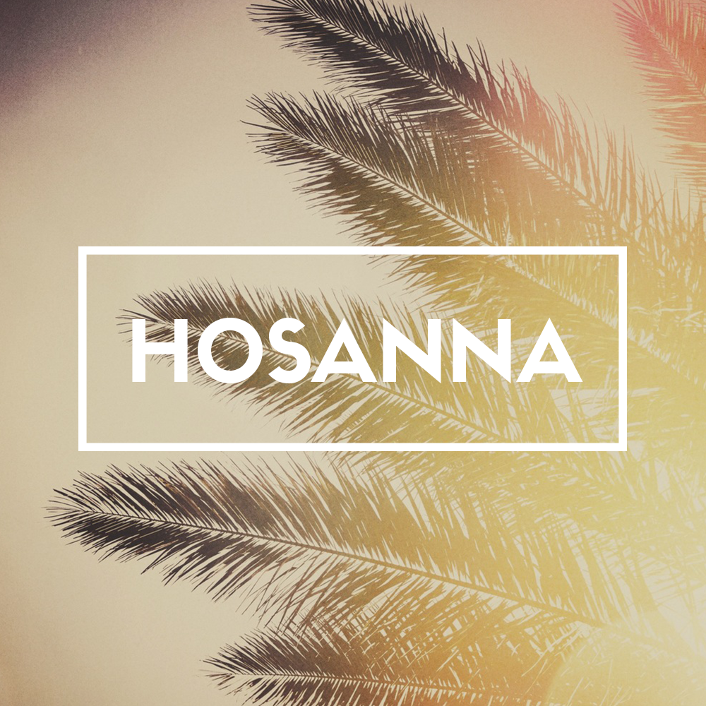 LCEF_'s tweet photo. Retweet to celebrate #PalmSunday with us! #Hosanna http://t.co/h3md2umacn