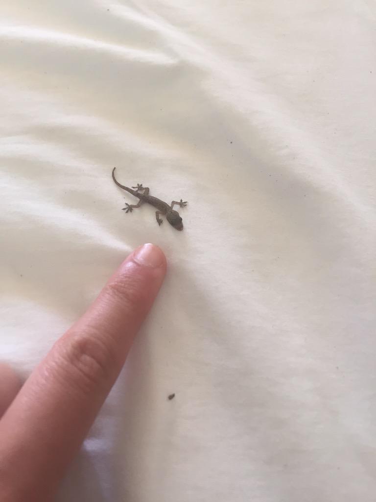 ericajanehoff's tweet image. 