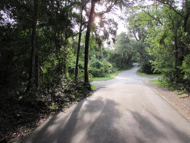 tiffbhi's tweet photo. Let peace come to you like sunshine through the trees. Beautiful! http://t.co/cKWIwYXlEc http://t.co/a9rCqgqbnO