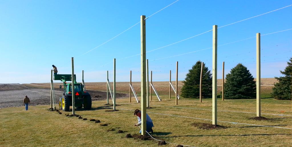 HopeAveHops's tweet photo. We accomplished so much in 2 days! Now it's time to watch them grow.... #hops #hardworkpaysof http://t.co/GaLfxNGuZY