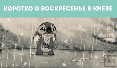 glsvkyiv tweet picture