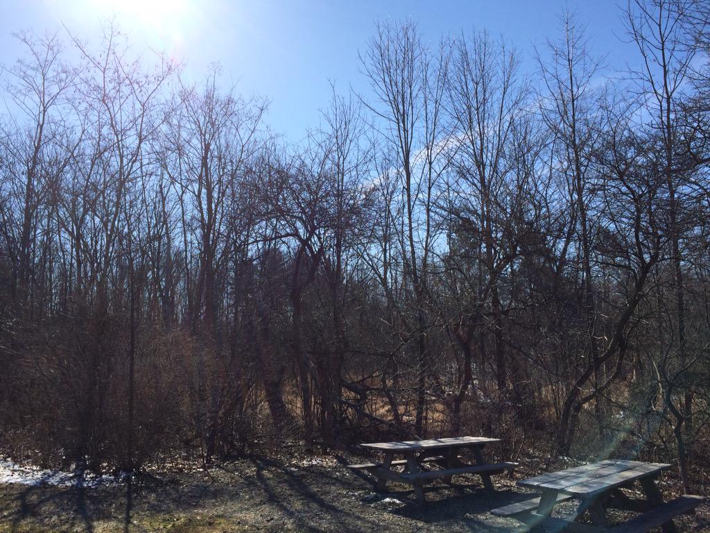 TariqhAli's tweet image. That was a brisk run but the bright sun made it tolerable #longrun #nospringhere