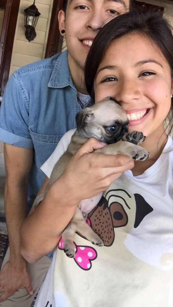 HE GOT HER A BABY PUG 😍😭 #promposal