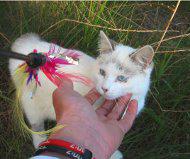 <a href="/HundeBvl/">Dominik Lang</a> Momente, die das Leben verändern.
judith-katzen-geschichten.de/mein-weg-er-ka…
please rt
