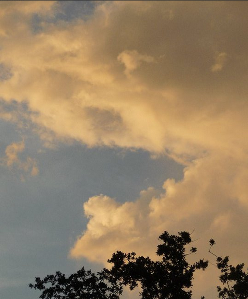 TX_Tess's tweet photo. #ntitled 396
Do you see itβ
what wakens
old men & children
looking for ships,
innocuous doggies
in cotton dreams? http://t.co/7bcQYvTv1b