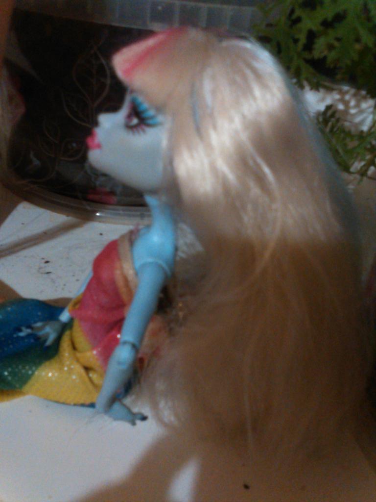 sonya8954's tweet photo. Моя кукла монстр хай http://t.co/UokH8Mh9BP