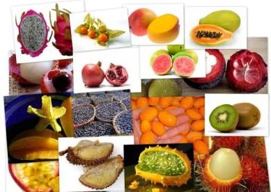 Exportamos frutas exoticas Colombia informacion  countryfruits.com.co  comercial@country fruits.com.co