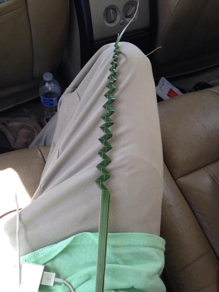 CalaDias18's tweet photo. Took me 30mins just to make this π© #PalmSunday #FirstTimeLol http://t.co/oifFtAf92k
