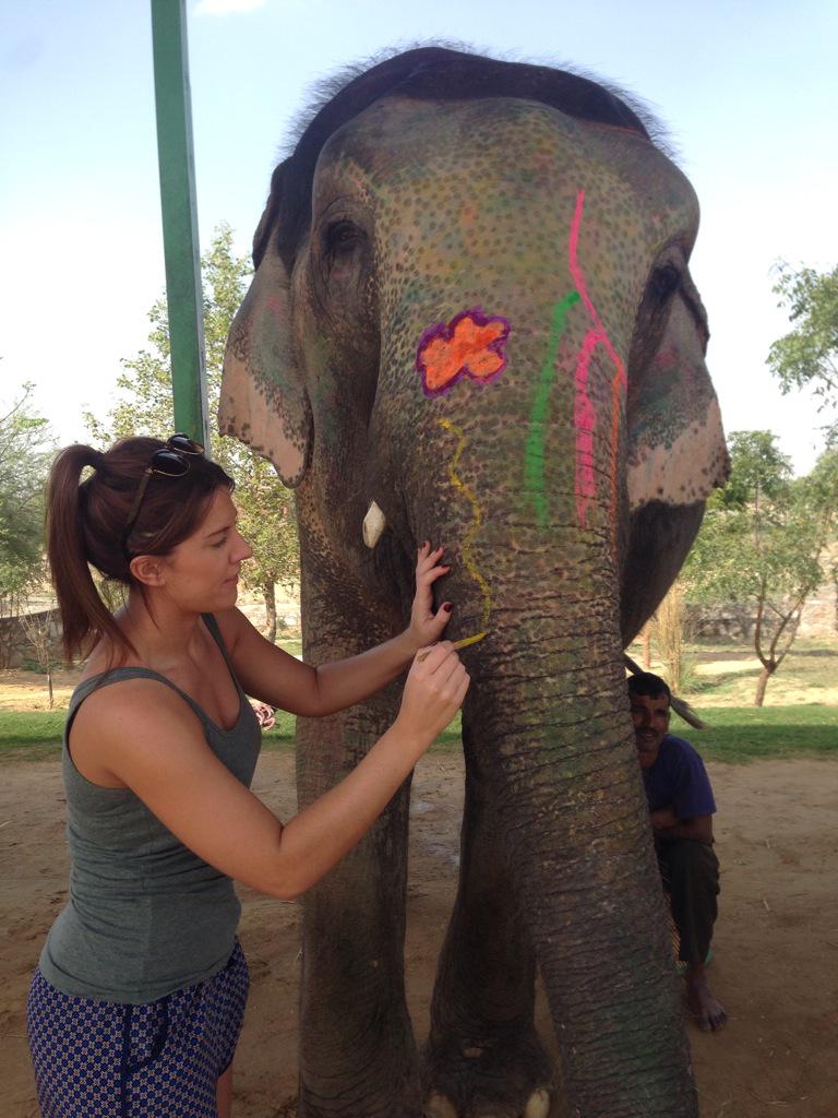 Nattgrainger's tweet photo. Elephant painting in India 👌 http://t.co/Y55nmWNVbZ