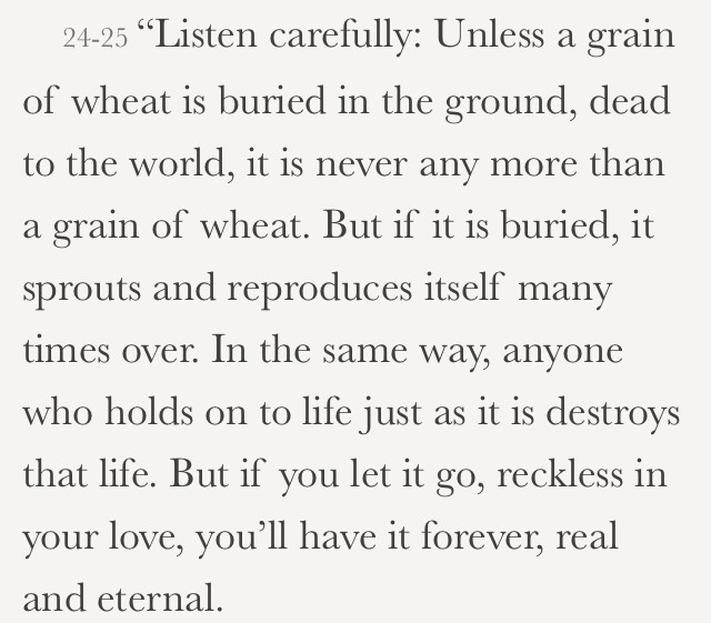 Let go and be reckless in your love
John 12:24-25