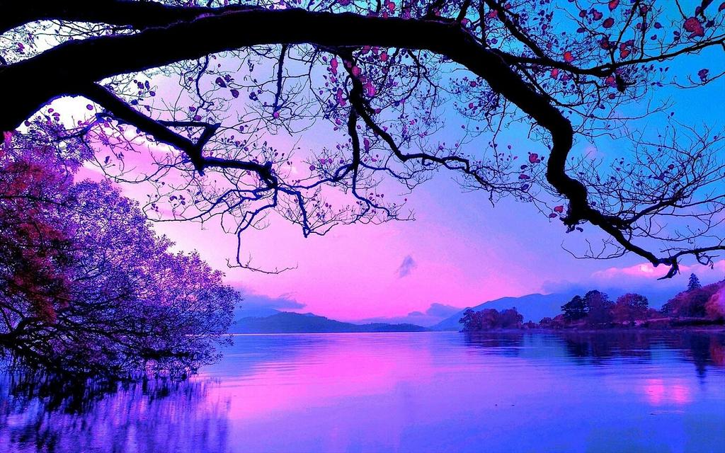 followtheSain tweet picture