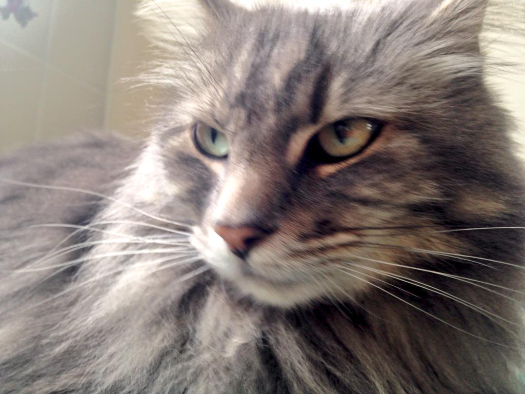 ET2media's tweet photo. Video: Sounds of @Critteraid http://t.co/WnW8tPR7wI http://t.co/ymfMkH2MNT