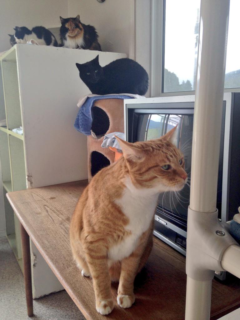 ET2media's tweet photo. Video: Sounds of @Critteraid http://t.co/WnW8tPR7wI http://t.co/ymfMkH2MNT