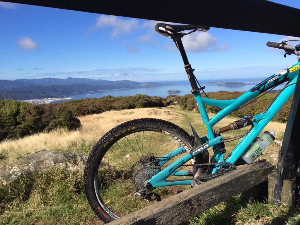 benrwilde's tweet image. Idyllic morning for a ride #WhyWellington #belmont