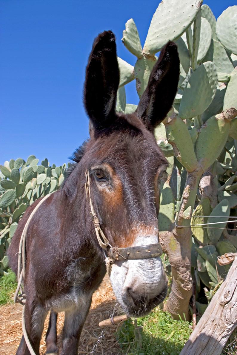 FiumaradArte's tweet photo. #tusa #sicilia #ateliersulmare #nebrodi ...ecco il paesaggio intorno a noi! http://t.co/aXVnbECEA5