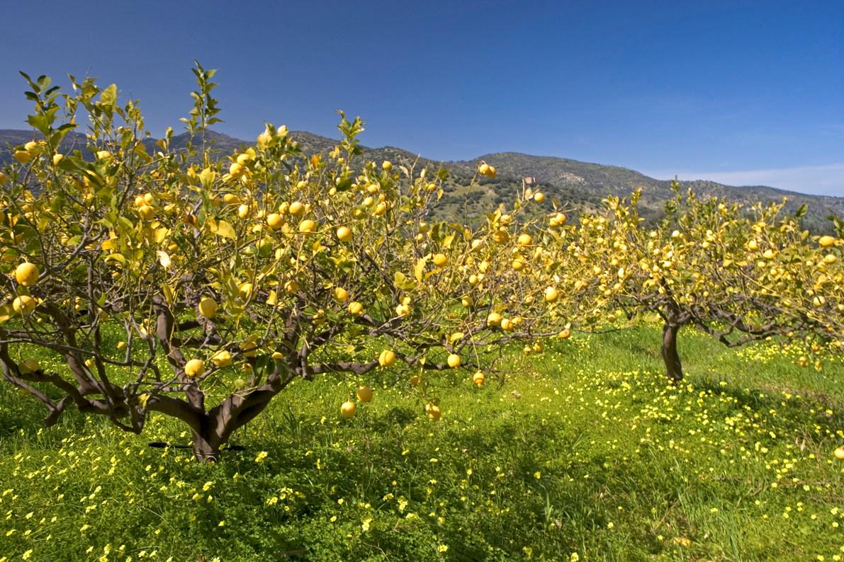 FiumaradArte's tweet photo. #tusa #sicilia #ateliersulmare #nebrodi ...ecco il paesaggio intorno a noi! http://t.co/aXVnbECEA5