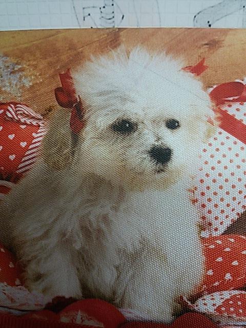 Rockersha98's tweet photo. Споко��ной ночки!!! ^-^ http://t.co/iGibbfxPPj