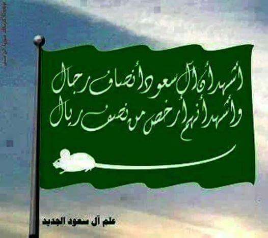 علم ال سعود الجديد