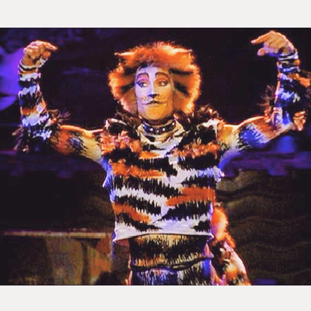 _jelliclecats's tweet photo. #catsthemusical #jelliclecats #Macavity #Demeter #Gus #Jellylorum #Mungojerrie http://t.co/slodHg36VQ