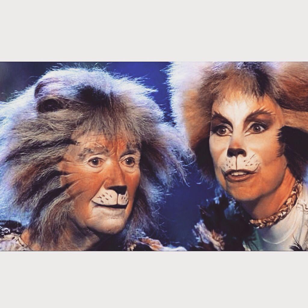 _jelliclecats's tweet photo. #catsthemusical #jelliclecats #Macavity #Demeter #Gus #Jellylorum #Mungojerrie http://t.co/slodHg36VQ