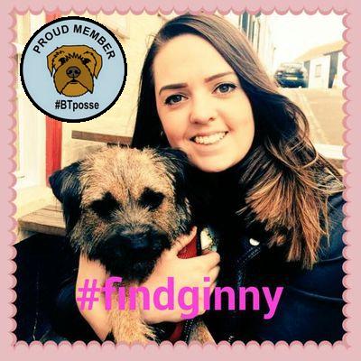 @The_Animal_TeamPlease RT to help us find our little ginny, stolen 2 months ago. Missing her more each day #BTPosse x
