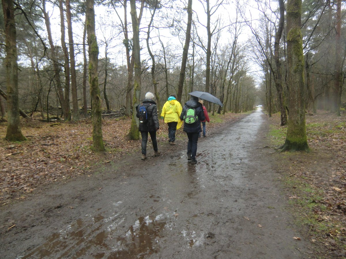 Wandel evenement MBO ism MHb Nat maar geslaagd,ca 400 deelnemers, 

Zeer goed georganiseerd door MBO &amp; wandelver.