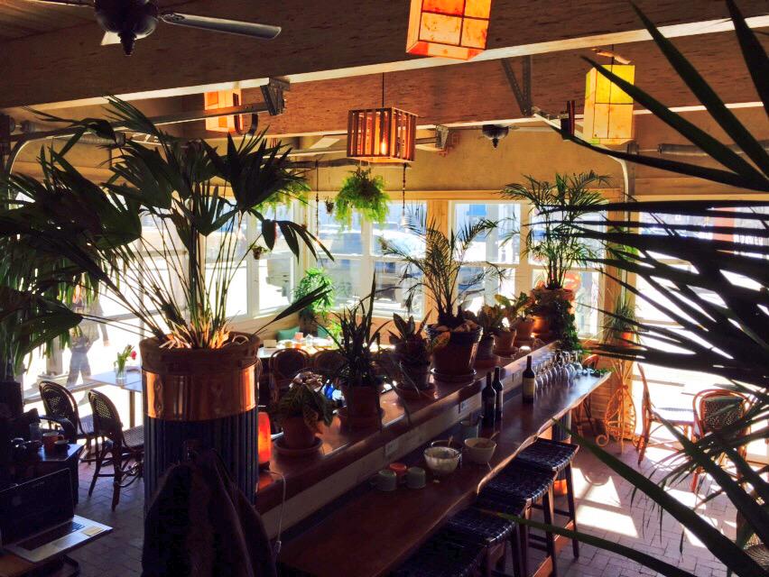 The new @cafe_drift in Saskatoon just across from the Farmer's Market is really something. #supportlocal
