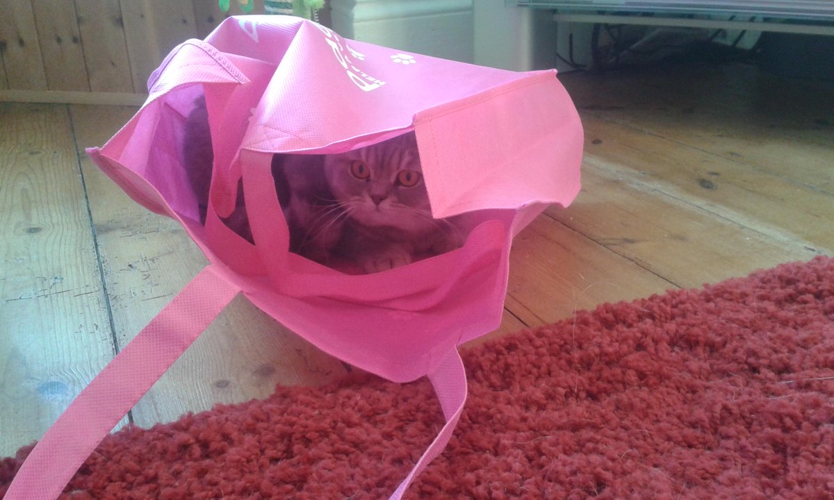 AnnPictureBooks's tweet image. Blue inside my goody bag from Ed Show in Birmingham. Lots of interest for my 'The Dandelion Who Refused to be a Weed'