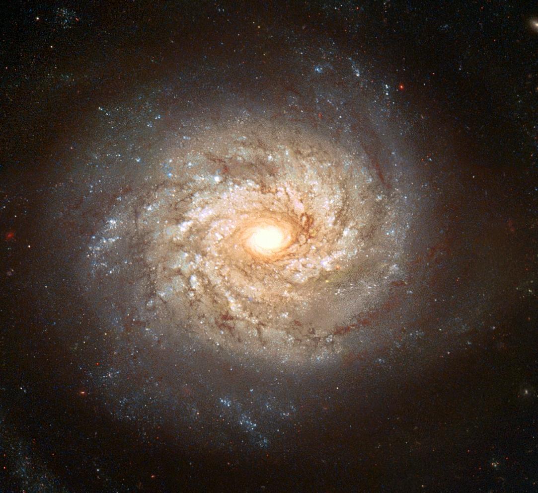SPACEPlCTURES's tweet photo. Spiral Galaxy NGC 3982, found in the constellation Ursa Major. #space http://t.co/qenApdW00K