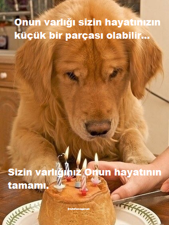 TuhafAmaGercek's tweet photo. ! http://t.co/WJdylQxR45