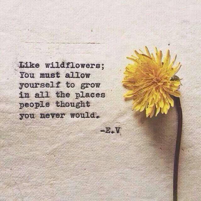 _CertainThings_'s tweet image. 🌻