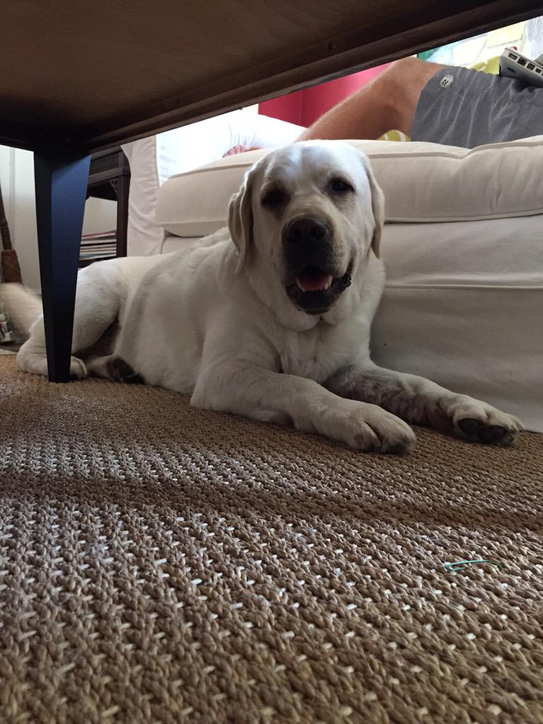carolinejwork's tweet photo. @dememorales is at my home with my main man and I'm not there 😓 #missyouguys http://t.co/EEjpl5wzFv