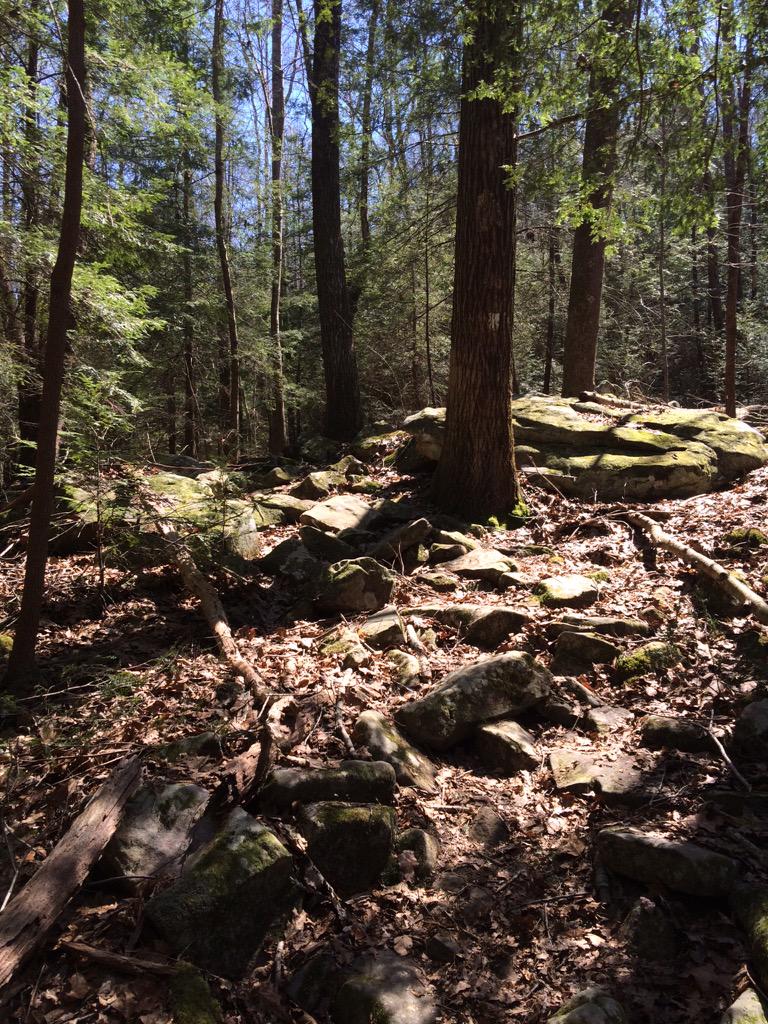 mattmhaley's tweet photo. Went back out on the @rivergorge course to show @garypoppins the rock garden today #naturebosses http://t.co/VGxVLx04ea