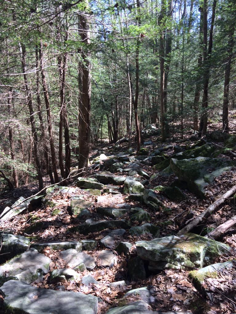 mattmhaley's tweet photo. Went back out on the @rivergorge course to show @garypoppins the rock garden today #naturebosses http://t.co/VGxVLx04ea