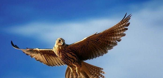 F61000's tweet photo. http://t.co/5SRNRr0nUj