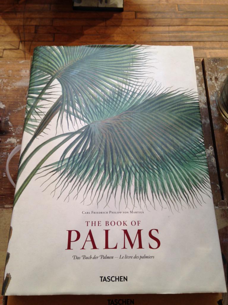 CaseySudhoff's tweet photo. @thecausekt Found your next great book of inspiration. #PalmSunday http://t.co/bZHqH6UvcJ