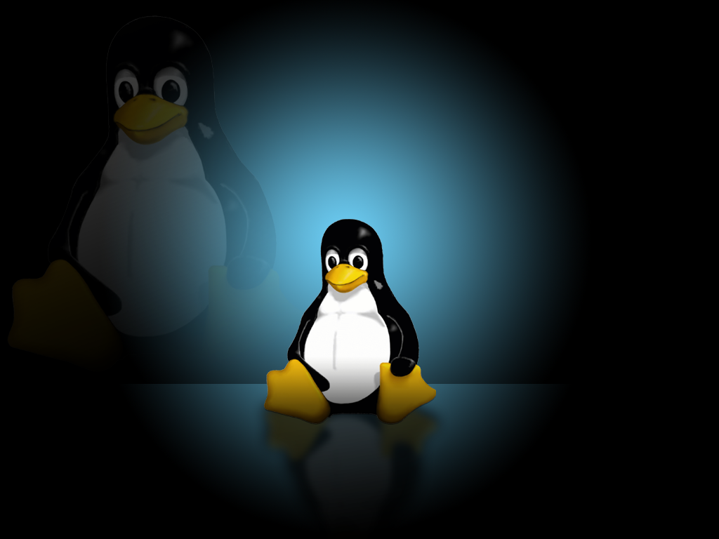 misfonditos's tweet photo. http://t.co/cjGhv1AMsD
Tux Wallpaper http://t.co/uHKI8DnQ8r