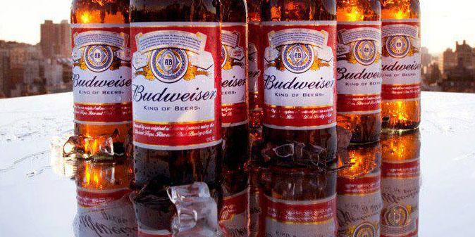 Budweiser_RD's tweet photo. Grandes momentos están en el horizonte. #BetterWithBud #SundayFunday http://t.co/9vwdoGj5uO