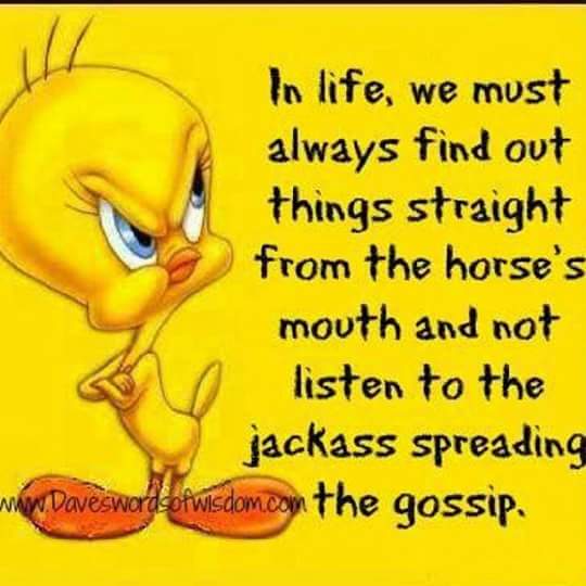 Cheryl Brasel (@braselcheryl) on Twitter photo 