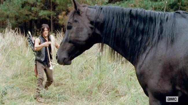 BAMF_Buttons's tweet image. Can't catch me Daryl! 🐎 #TheWalkingDeadSeason5Marathon