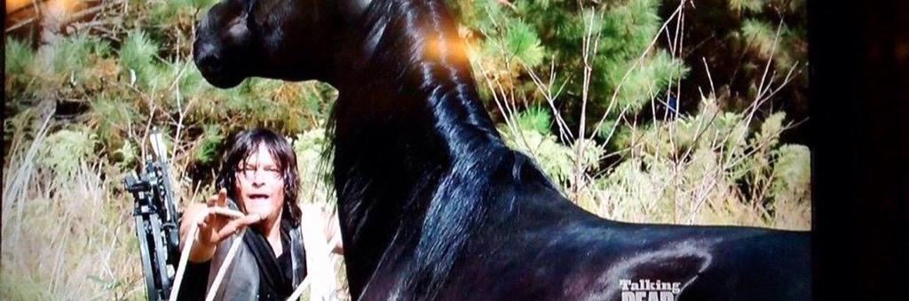 BAMF_Buttons's tweet image. Can't catch me Daryl! 🐎 #TheWalkingDeadSeason5Marathon