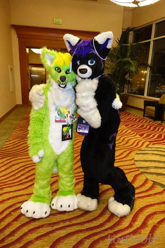 LostWolf321's tweet photo. It's @CyanCoyote &amp; @LiminKitty @rainfurrest #RF2014 http://t.co/iIhoFDAbkU