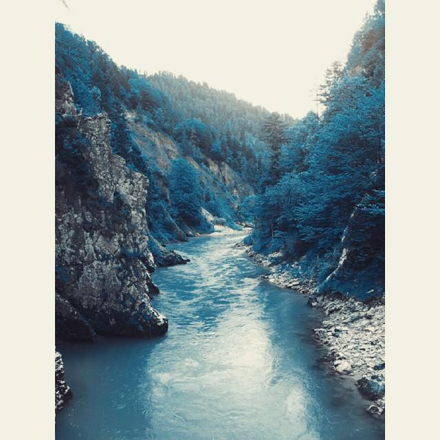 redifollow's tweet photo. Credit by http://t.co/RSxDVAUvfz #blue #german #forest #photoshop #magic #indiephotography #stalkerstuff http://t.co/y5B38c16fb