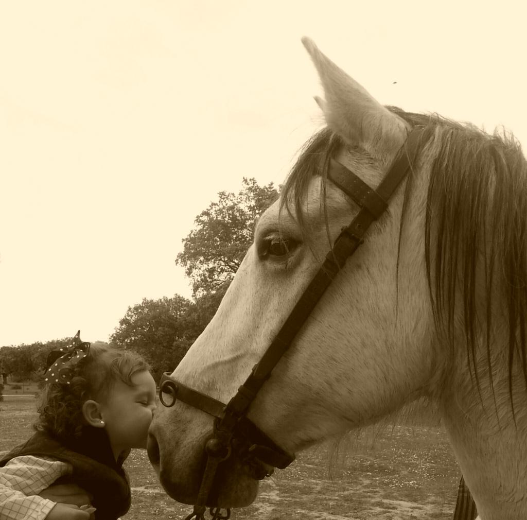 nuryaclemente's tweet photo. Toda una jinete nuestra pekeñita!! Buen dia el de hoy!! http://t.co/uIwoVB88yj