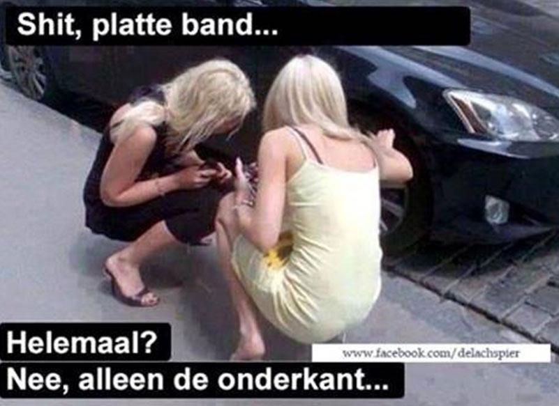 BertvanArkel's tweet photo. Goed gezien, meisjes. http://t.co/WxU42Ue24e