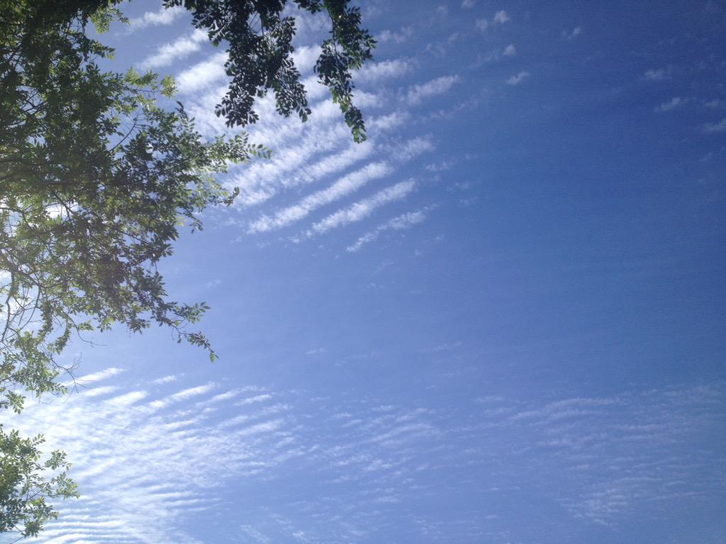 CATinPhoenix's tweet photo. Laying in the grass, listening to live music. #pinchme #cooldown #MMMF2015 http://t.co/Eu6eEplFtb